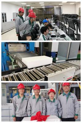 星型支化丁基橡膠技術成功實現工業化 合成橡膠領域的突破性進展